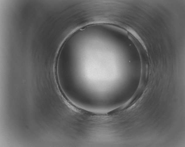 X0000073831197200608101155