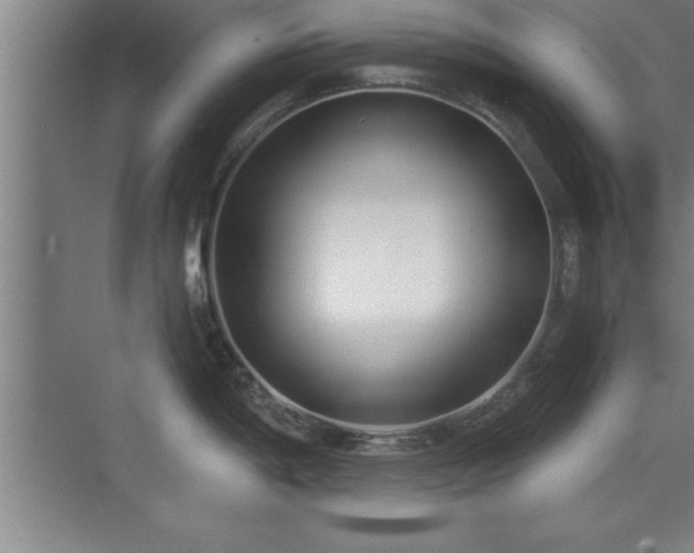 X0000073831198200608101155