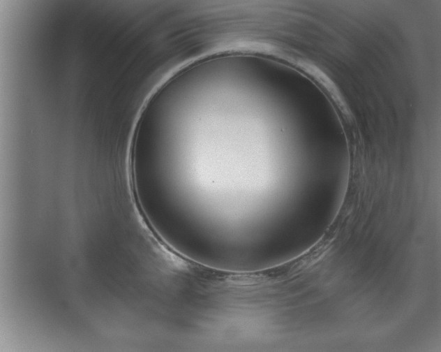 X0000073831199200608101155