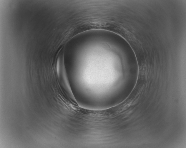 X0000073831202200608101154