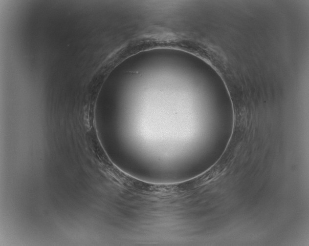 X0000073831205200608101154