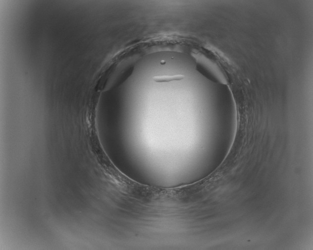 X0000073831206200608101154