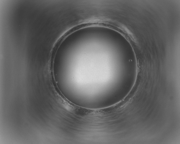 X0000073831216200608101154