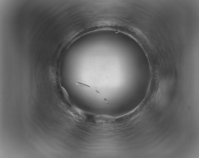 X0000073831217200608101155