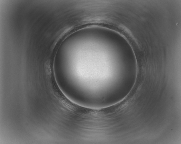 X0000073831218200608101155