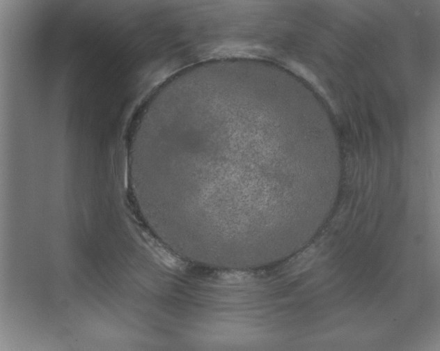 X0000073831219200608101155