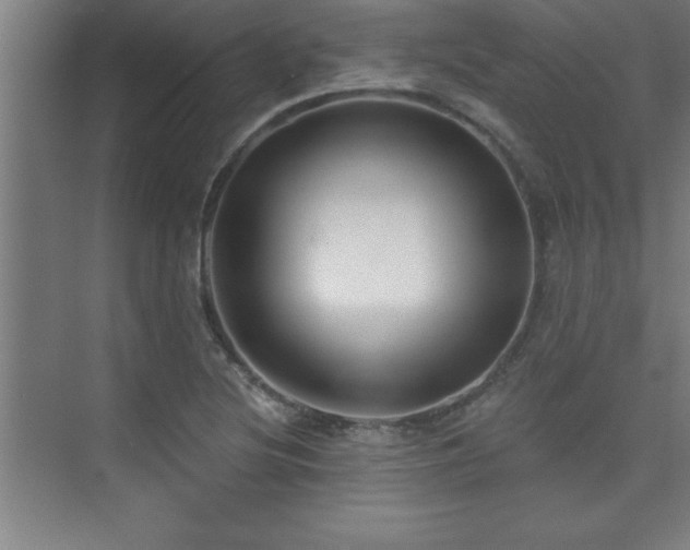 X0000073831220200608101155