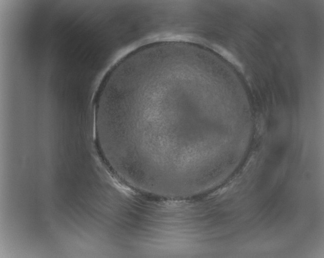 X0000073831223200608101155