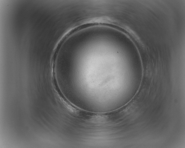 X0000073831224200608101155