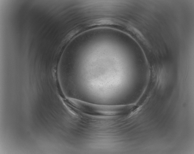 X0000073831225200608101155