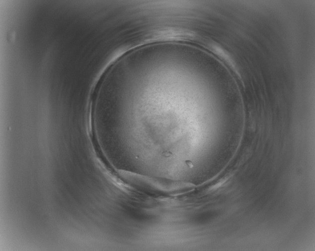 X0000073831227200608101155