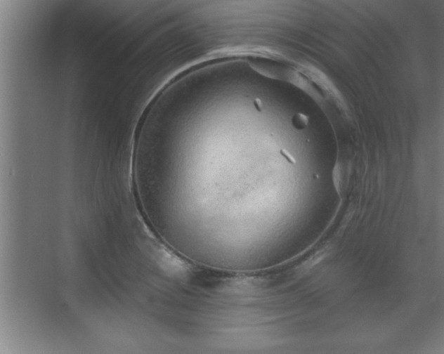 X0000073831228200608101155