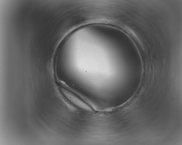 X0000073831230200608101155