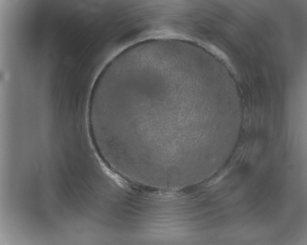 X0000073831231200608101155