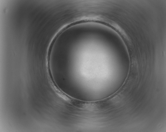 X0000073831232200608101155