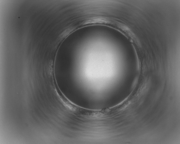 X0000073831233200608101155