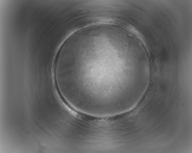 X0000073831235200608101155