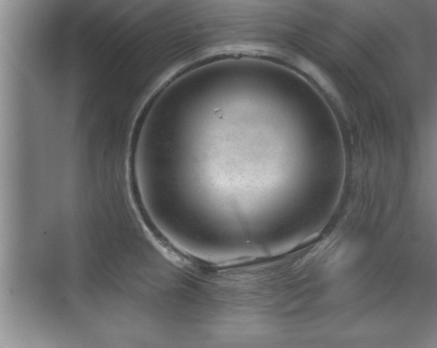 X0000073831237200608101155