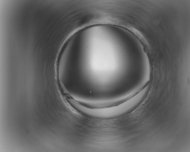 X0000073831238200608101155