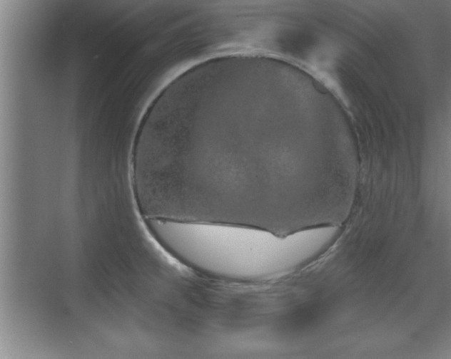 X0000073831239200608101155