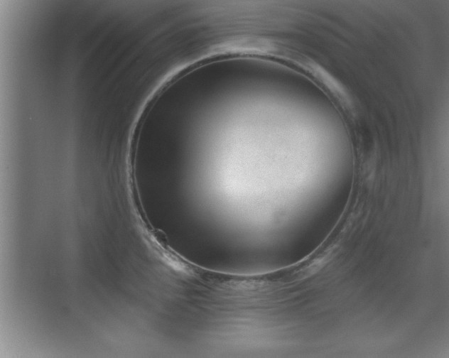 X0000073831240200608101155