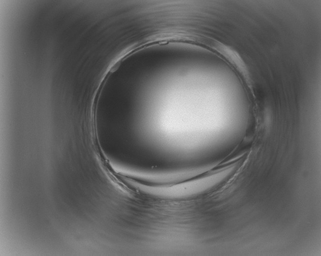 X0000073831242200608101155