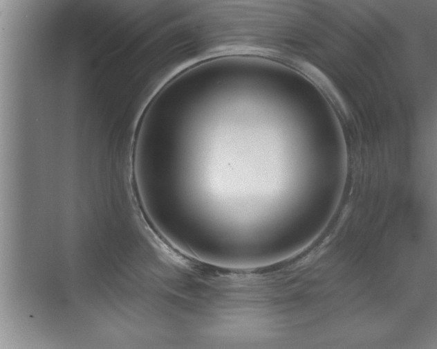 X0000073831244200608101155