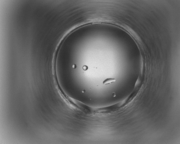 X0000073831246200608101155