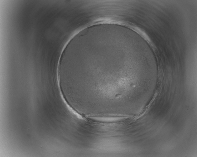 X0000073831247200608101155