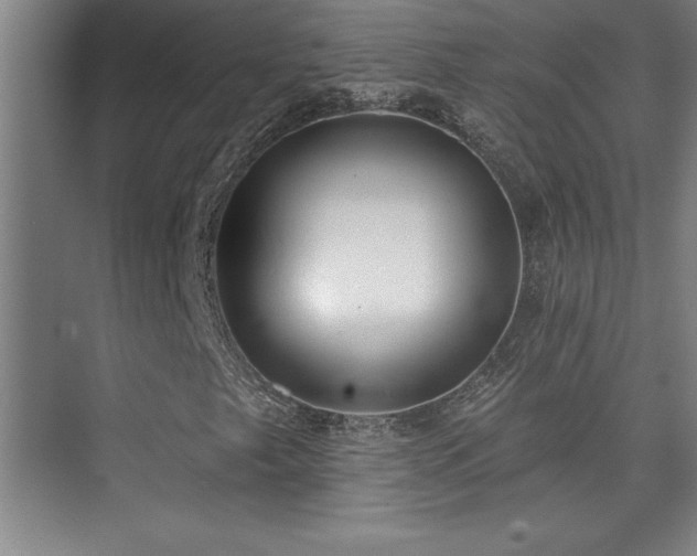 X0000073831249200608101154