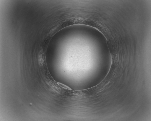 X0000073831250200608101154