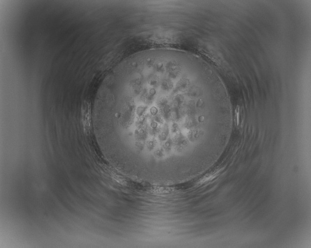 X0000073831251200608101154