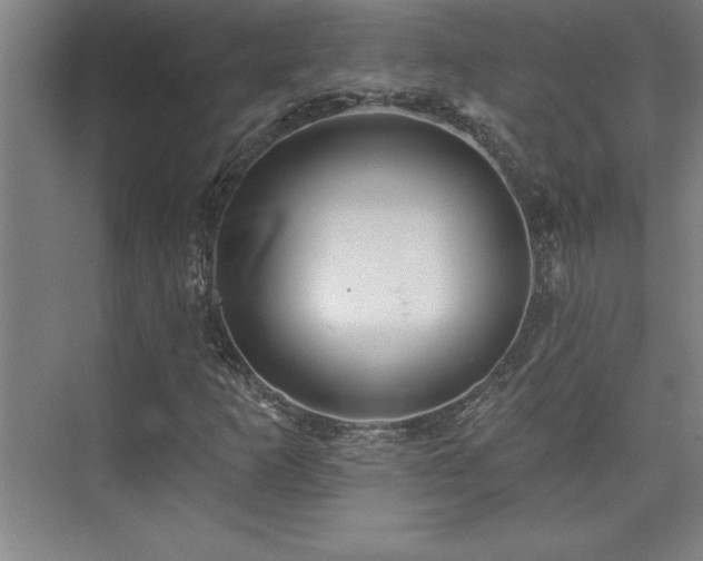 X0000073831253200608101154