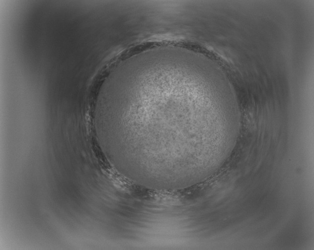 X0000073831254200608101154