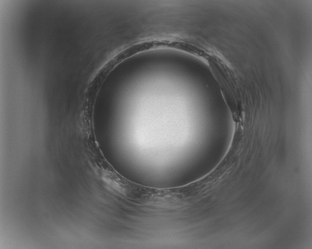 X0000073831256200608101154