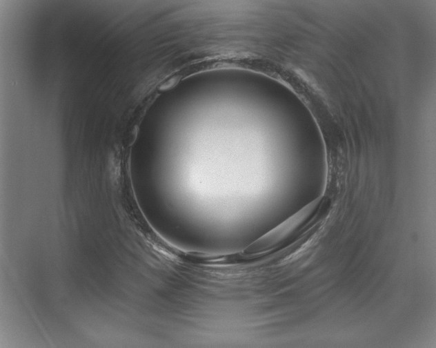 X0000073831257200608101154