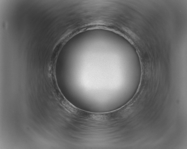 X0000073831258200608101154