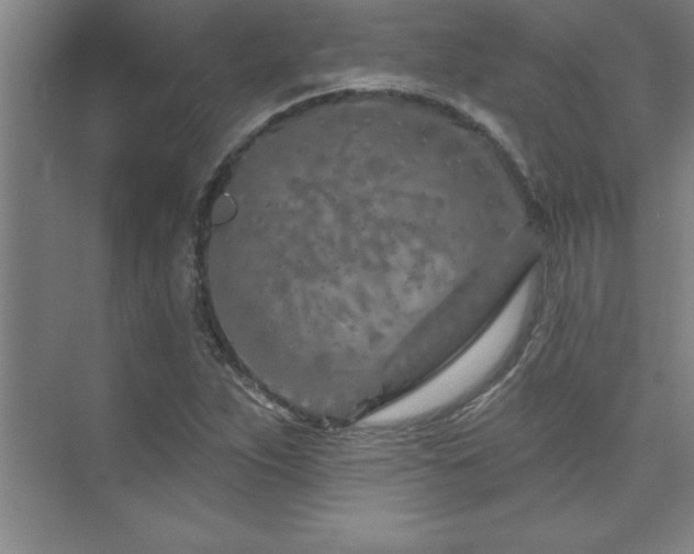 X0000073831263200608101154