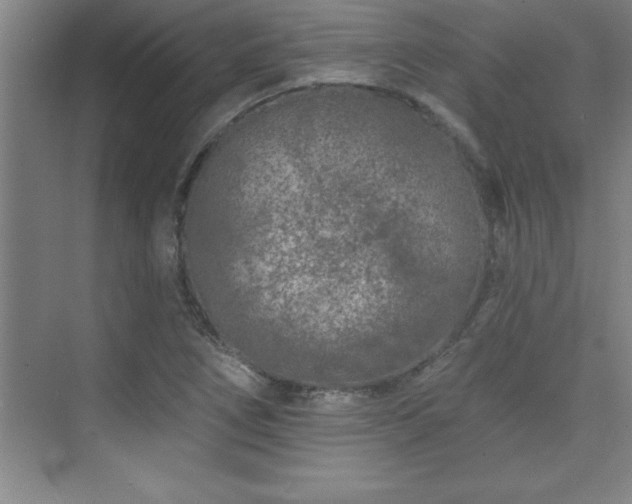 X0000073831266200608101154