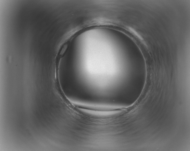 X0000073831269200608101154