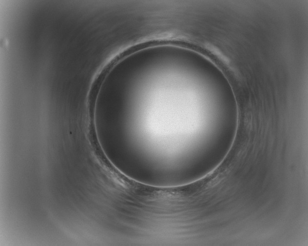 X0000073831270200608101154