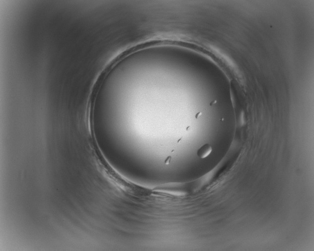 X0000073831272200608101154