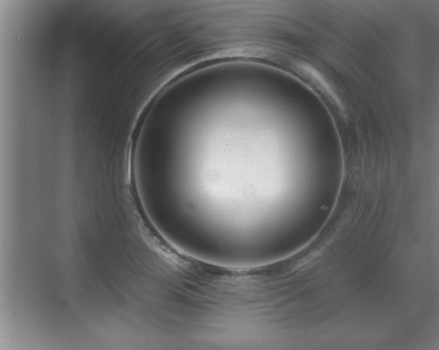 X0000073831276200608101154