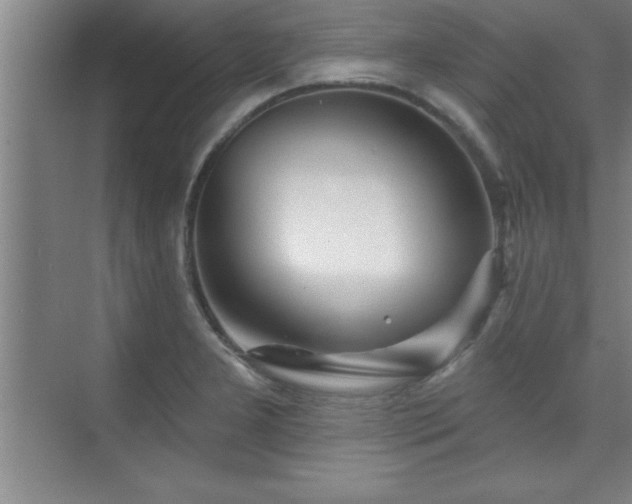 X0000073831277200608101154