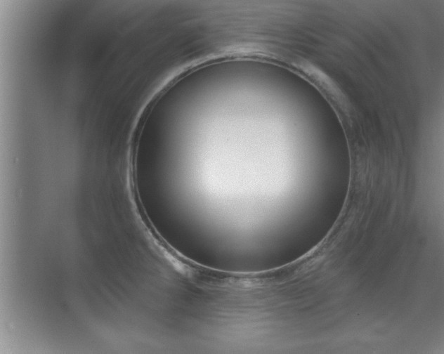 X0000073831286200608101154