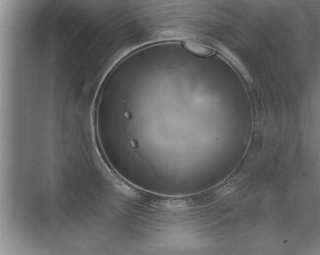 X0000073831291200608101153