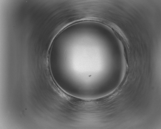 X0000073831292200608101153