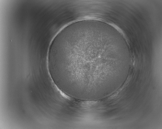 X0000073831294200608101153