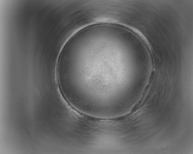 X0000073831295200608101153