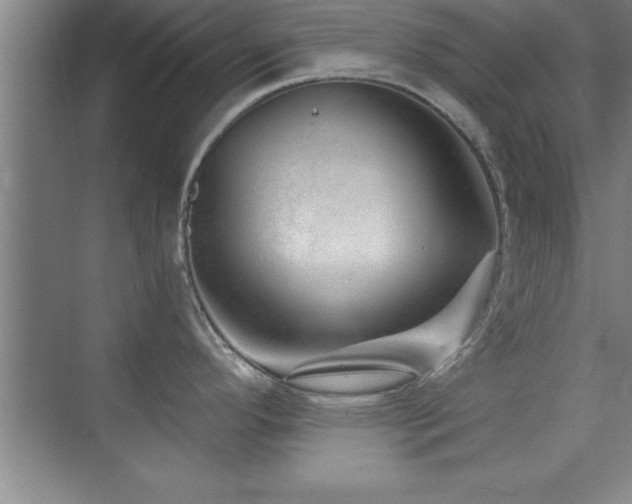 X0000073831296200608101153